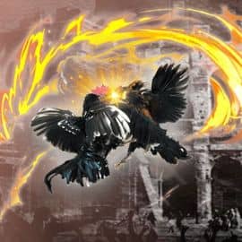 Bùi Thị Minh Đức